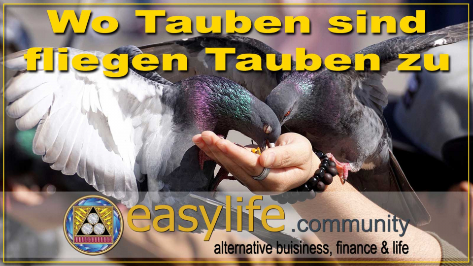 Interessanter neuer Blog-Beitrag den du mal lesen solltest: https://easylife.community/de/blog/14-aktuellstes/288-wo-tauben-sind