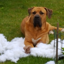 That WAS a pillow once LOL